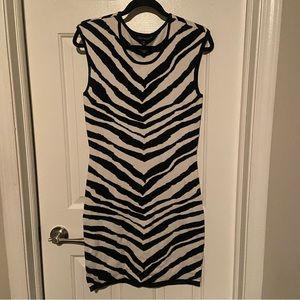 Express sweater dress